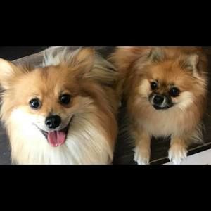 Meet your Posher, Kristi